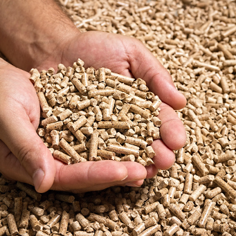 gruppo-fertilizzati-pellets