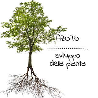 Nutrienti